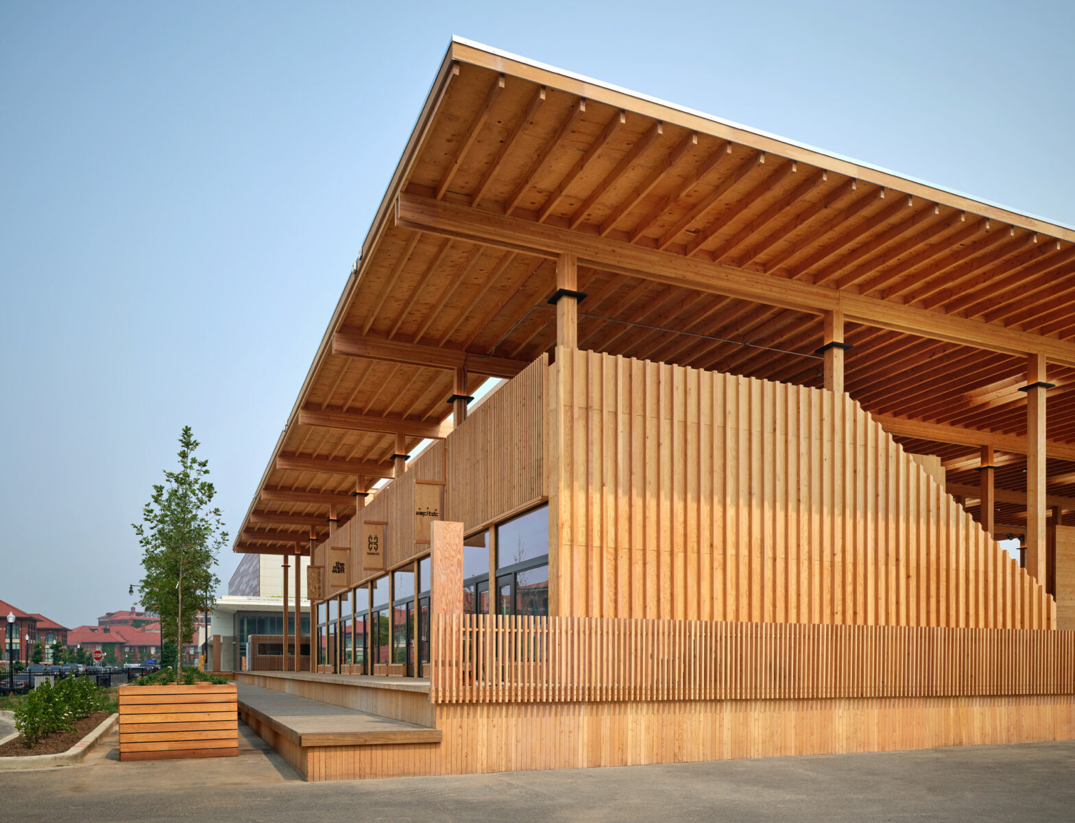 Architectural photo of mass timber pavilion with retail store fronts